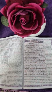 سلسله جلسات تفسیر سوره فتح